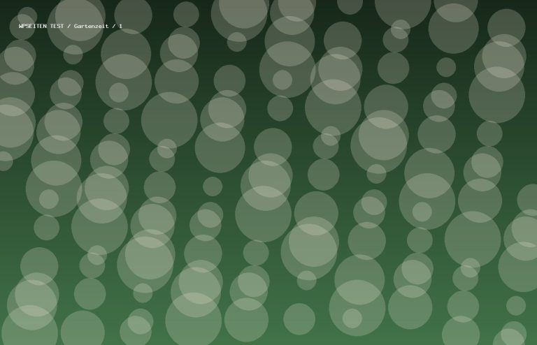 Synthetisches Testmotiv 1