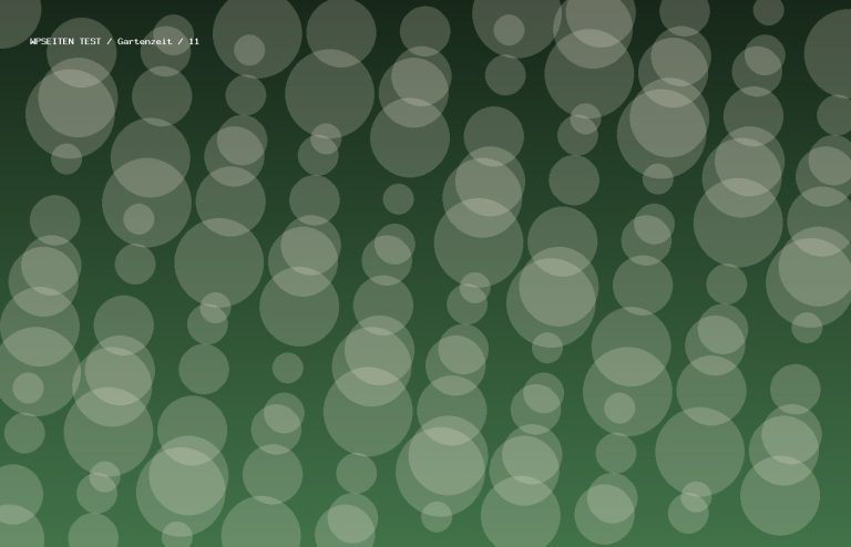 Synthetisches Testmotiv 11