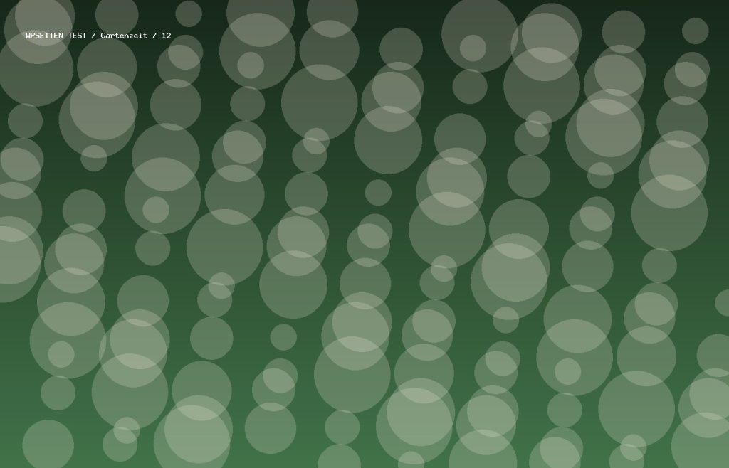Synthetisches Testmotiv 12
