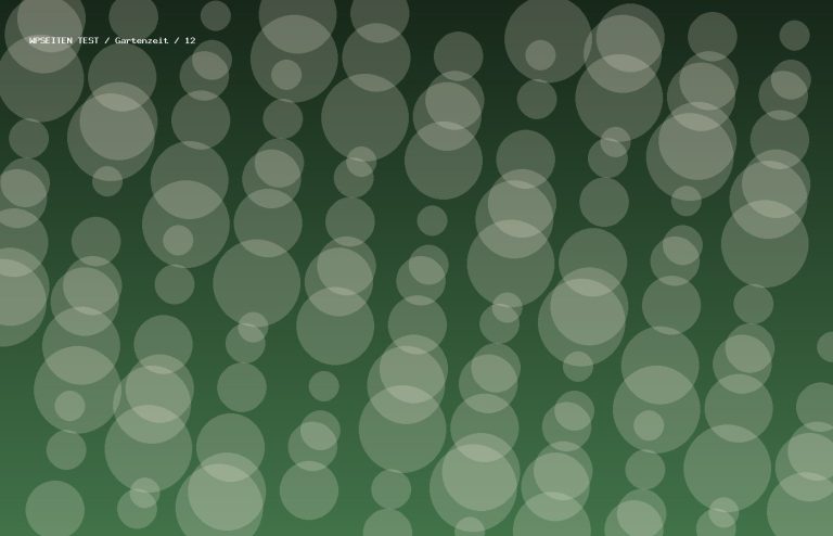 Synthetisches Testmotiv 12