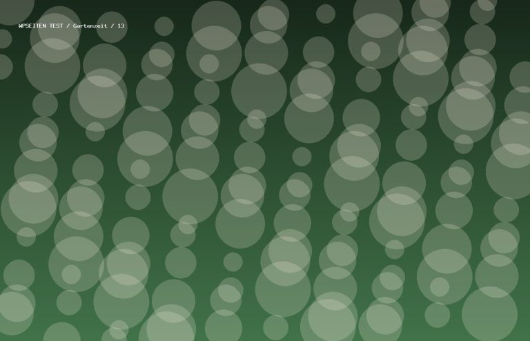 Synthetisches Testmotiv 13