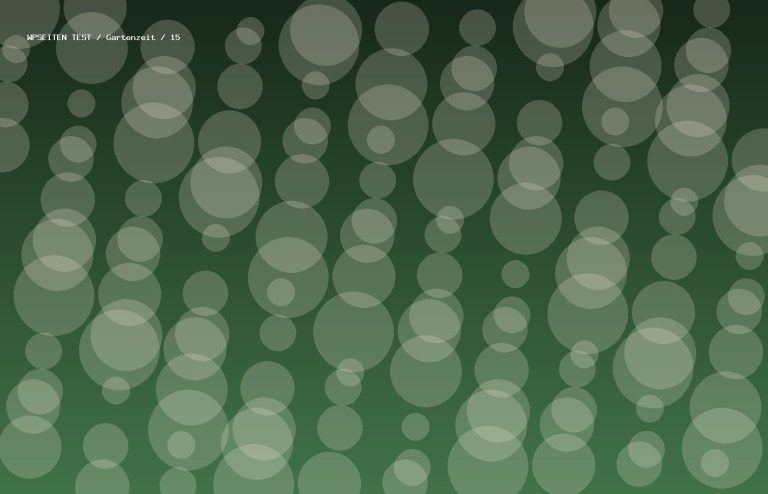 Synthetisches Testmotiv 15