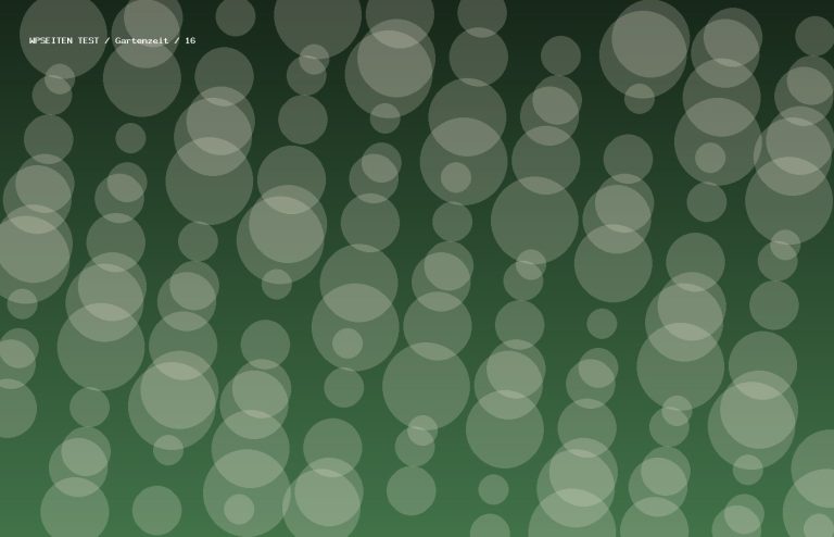 Synthetisches Testmotiv 16