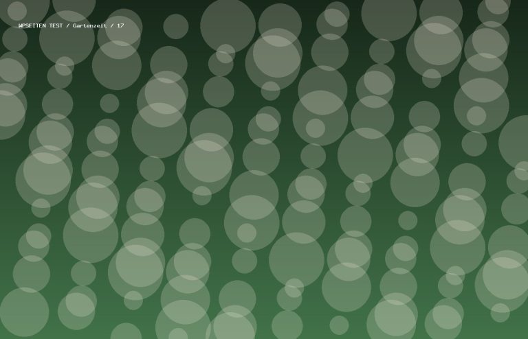 Synthetisches Testmotiv 17