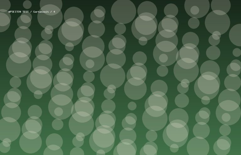Synthetisches Testmotiv 4