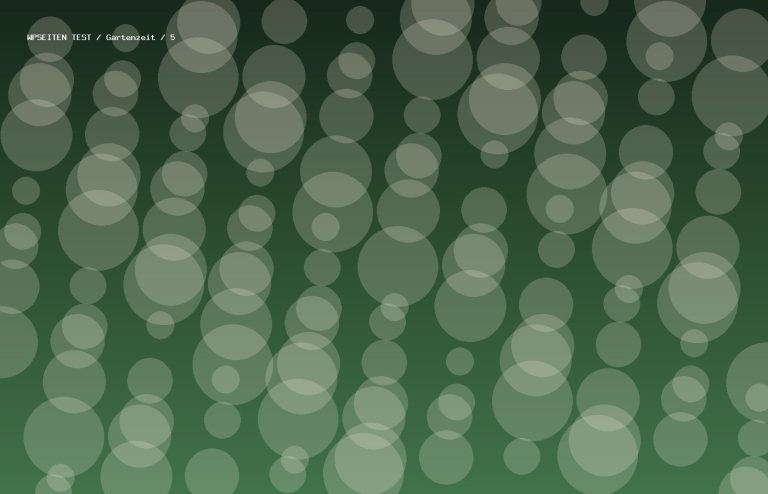 Synthetisches Testmotiv 5