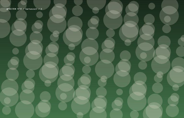 Synthetisches Testmotiv 6