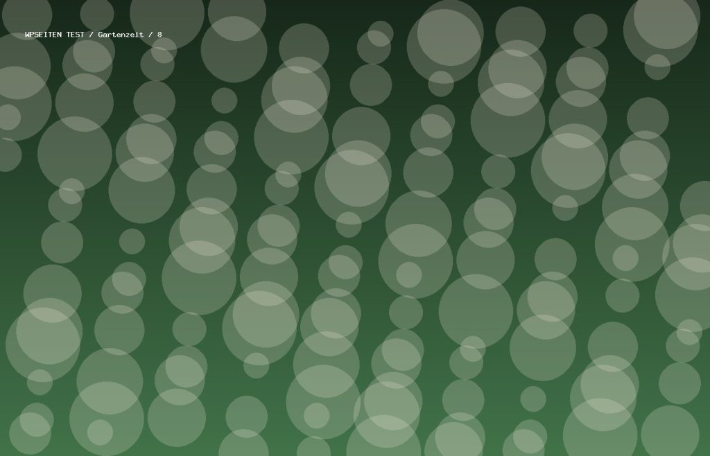Synthetisches Testmotiv 8